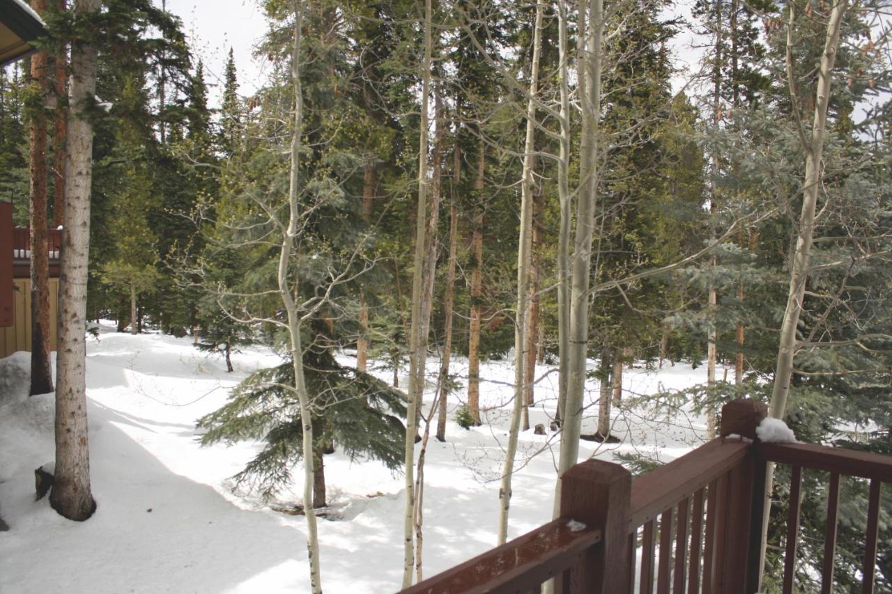 White Wolf #890 - Great Home With Private Outdoor Hot Tub - Shuttle To Slopes Breckenridge Exterior photo